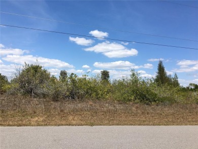 South Gulf Cove  Lot For Sale in Port Charlotte Florida