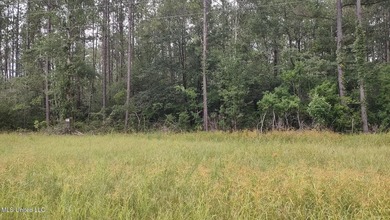 Pearl River Acreage Sale Pending in Picayune Mississippi