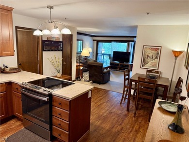 Lake Tahoe - Washoe County Condo For Sale in Incline Village Nevada