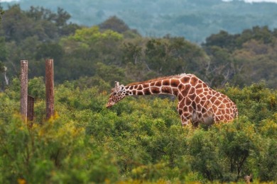 (private lake, pond, creek) Acreage For Sale in Mountain Home Texas