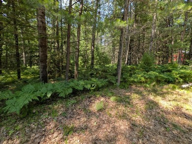 Discover the perfect setting for your Northwoods dream home! - photo 1