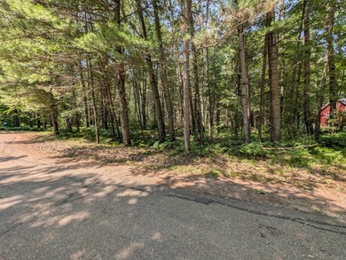 Discover the perfect setting for your Northwoods dream home! - photo 2