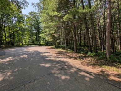 Discover the perfect setting for your Northwoods dream home! - photo 3
