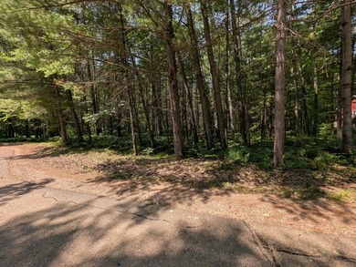 Discover the perfect setting for your Northwoods dream home! - photo 4