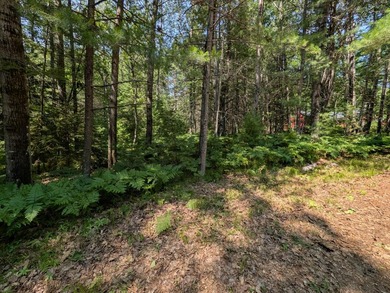 Discover the perfect setting for your Northwoods dream home! - photo 6