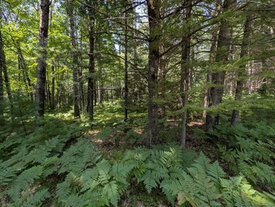Discover the perfect setting for your Northwoods dream home! - photo 7