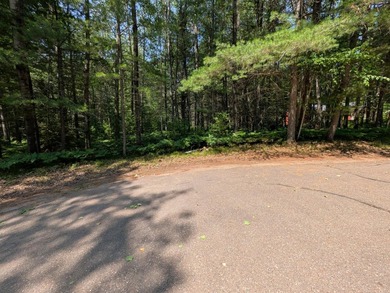 Discover the perfect setting for your Northwoods dream home! - photo 8