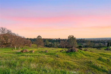 Perched on nearly two acres, this exceptional homesite captures - photo 8