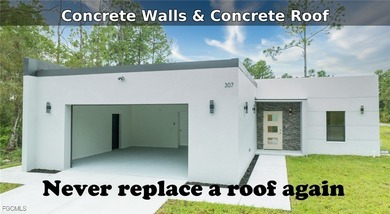 Lehigh Acres Area Home For Sale in Lehigh Acres Florida