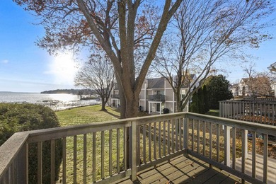 Experience true lakefront living in this beautifully appointed - photo 33