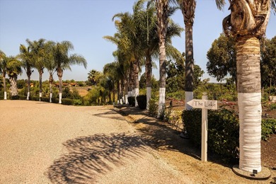 In the heart of Santa Ynez sits a piece of paradise; an - photo 39