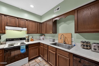 A Buyer's Dream Wrapped in Total Seclusion on ~26 Smoky Mountain - photo 42