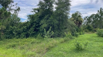 Lehigh Acres Area Lot For Sale in Lehigh Acres Florida