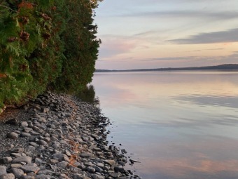 Schoodic Lake Acreage For Sale in Lake View Plantation Maine