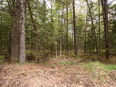 12.24 Acres with 234 ft of waterfront property. There are some - photo 3