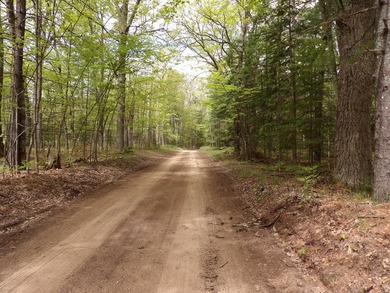 12.24 Acres with 234 ft of waterfront property. There are some - photo 4