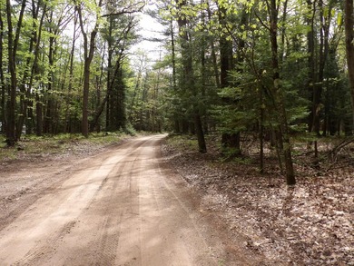 12.24 Acres with 234 ft of waterfront property. There are some - photo 5