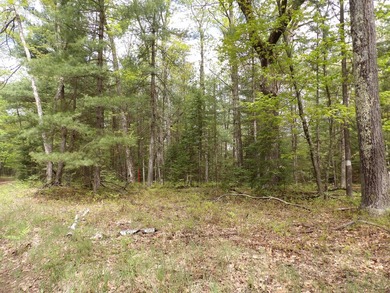 12.24 Acres with 234 ft of waterfront property. There are some - photo 6