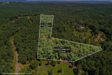 Carters Lake Acreage For Sale in Ellijay Georgia