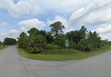 Beautiful lot in North Port. This lot may qualify for up to 90% - photo 2