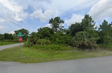 Beautiful lot in North Port. This lot may qualify for up to 90% - photo 3