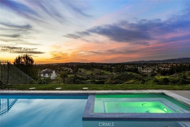 2309 Skyline - photo 44