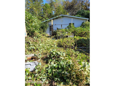 Lake Home For Sale in Knoxville, Tennessee