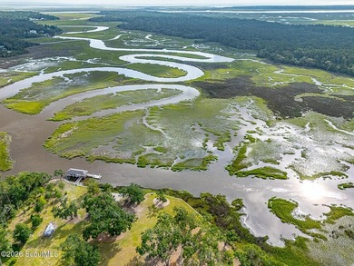24 Carriage Drive | 8.51 Acres | Jones Creek | Dock, Lift & - photo 11