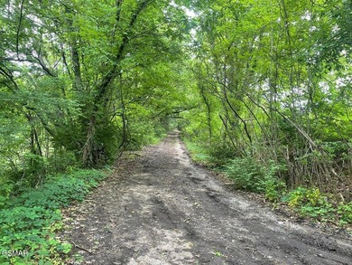 7.61+/- Acres, 1,912' of frontage on Winfield Dunn Parkway, Hwy - photo 11
