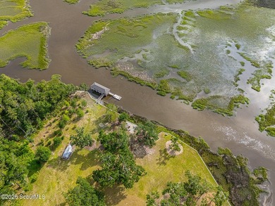 24 Carriage Drive | 8.51 Acres | Jones Creek | Dock, Lift & - photo 12