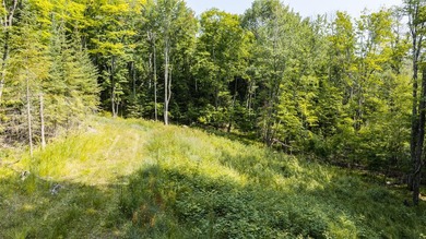 Exceptional opportunity to own 4.4 wooded acres with 326 feet of - photo 2