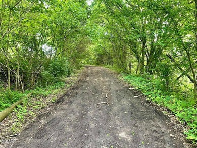 7.61+/- Acres, 1,912' of frontage on Winfield Dunn Parkway, Hwy - photo 12