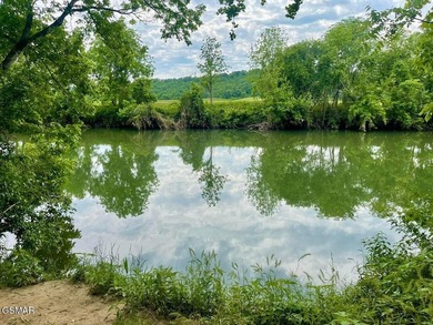 7.61+/- Acres, 1,912' of frontage on Winfield Dunn Parkway, Hwy - photo 13