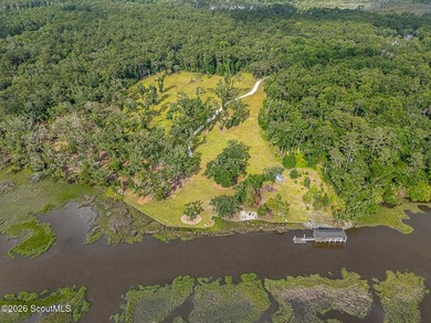 24 Carriage Drive | 8.51 Acres | Jones Creek | Dock, Lift & - photo 14