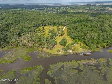 24 Carriage Drive | 8.51 Acres | Jones Creek | Dock, Lift & - photo 15