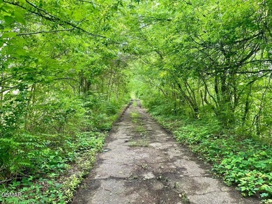 7.61+/- Acres, 1,912' of frontage on Winfield Dunn Parkway, Hwy - photo 15