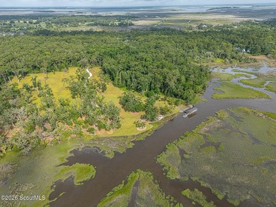 24 Carriage Drive | 8.51 Acres | Jones Creek | Dock, Lift & - photo 16