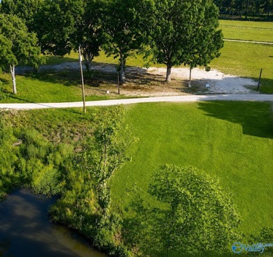 Enjoy the serenity of nature on these waterfronts lots in the - photo 6