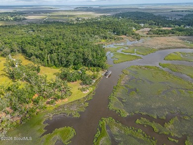 24 Carriage Drive | 8.51 Acres | Jones Creek | Dock, Lift & - photo 17