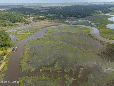24 Carriage Drive | 8.51 Acres | Jones Creek | Dock, Lift & - photo 18