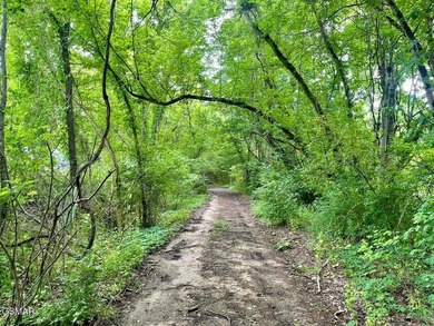 7.61+/- Acres, 1,912' of frontage on Winfield Dunn Parkway, Hwy - photo 18