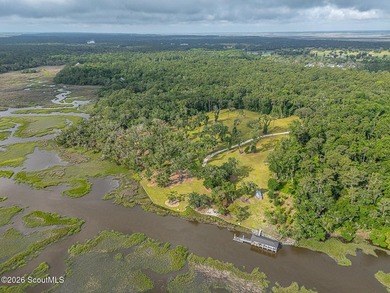 24 Carriage Drive | 8.51 Acres | Jones Creek | Dock, Lift & - photo 19