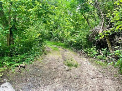 7.61+/- Acres, 1,912' of frontage on Winfield Dunn Parkway, Hwy - photo 19