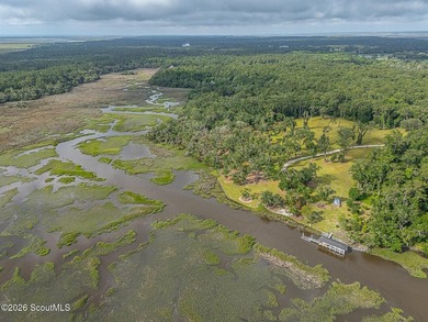 24 Carriage Drive | 8.51 Acres | Jones Creek | Dock, Lift & - photo 20