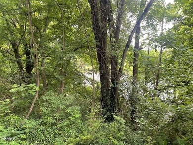 7.61+/- Acres, 1,912' of frontage on Winfield Dunn Parkway, Hwy - photo 20