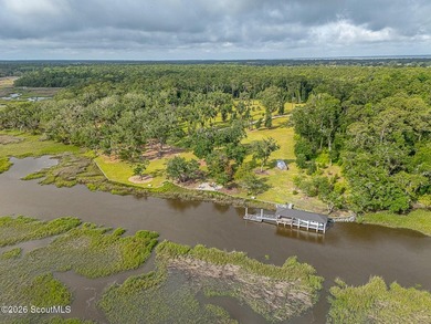 24 Carriage Drive | 8.51 Acres | Jones Creek | Dock, Lift & - photo 21