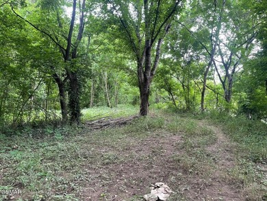 7.61+/- Acres, 1,912' of frontage on Winfield Dunn Parkway, Hwy - photo 21