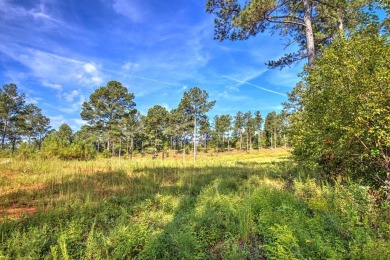 Lake Acreage For Sale in Ellijay, Georgia