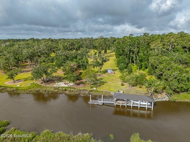 24 Carriage Drive | 8.51 Acres | Jones Creek | Dock, Lift & - photo 22