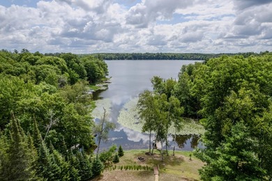 Welcome to the pristine shores of Birch Lake! Home and guest - photo 2